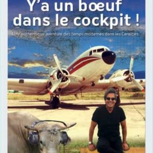 ALLO LA TOUR, Y A UN BOEUF DANS LE COCKPIT (POCHE)
				 (edición en francés)