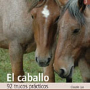 EL CABALLO 92 TRUCOS PRACTICOS