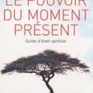 LE POUVOIR DU MOMENT PRESENT : GUIDE D EVEIL SPIRITUEL
				 (edición en francés)