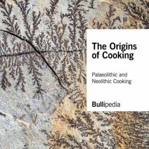 THE ORIGINS OF COOKING: PALEOLITHIC AND NEOLITHIC COOKING
				 (edición en inglés)