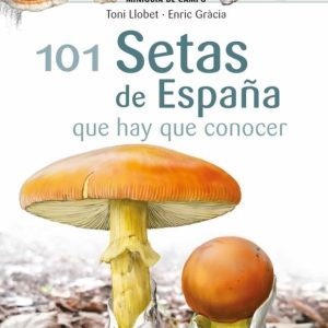 101 SETAS DE ESPAÑA