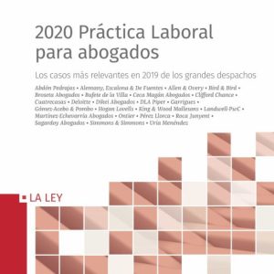 2020 PRACTICA LABORAL PARA ABOGADOS
