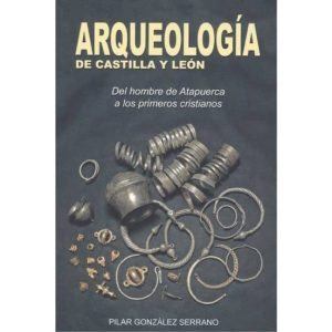ARQUEOLOGÍA DE CASTILLA Y LEÓN