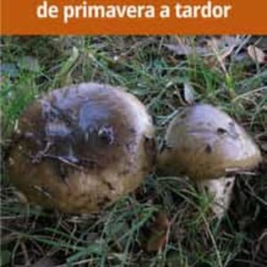 BOLETS DE PRIMAVERA A LA TARDOR
				 (edición en catalán)
