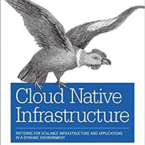 CLOUD NATIVE INFRASTRUCTURE: PATTERNS FOR SCALABLE INFRASTRUCTURE AND APPLICATIONS IN A DYNAMIC ENVIRONMENT
				 (edición en inglés)