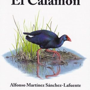 EL CALAMON