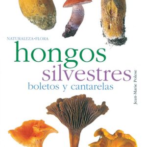 HONGOS SILVESTRES BOLETOS