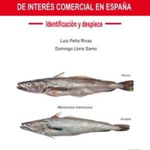 PRINCIPALES PESCADOS DE INTERES COMERCIAL EN ESPAÑA