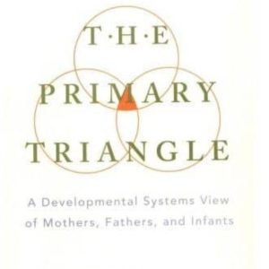 THE PRIMARY TRIANGLE: A DEVELOPMENTAL SYSTEMS VIEW OF FATHERS, MOTHERS, AND INFANTS
				 (edición en inglés)