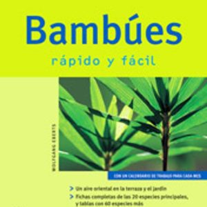 BAMBUES RAPIDO Y FACIL