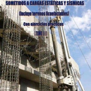 CALCULO Y CONSTRUCCION DE PILOTES SOMETIDOS A CARGAS ESTATICAS Y SISMICAS (INCLUYE TERRENOS LICUEFACTABLES)- O.C. 2 TOMOS