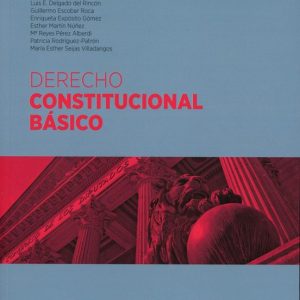 DERECHO CONSTITUCIONAL BÁSICO 2023