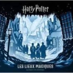 HARRY POTTER : LES LIEUX MAGIQUES : SCÈNES EN DIORAMA
				 (edición en francés)