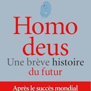 HOMO DEUS: UNE BRÈVE HISTOIRE DU FUTUR
				 (edición en francés)