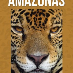 (I.B.D.) LA LEYENDA DEL AMAZONAS