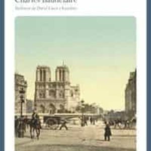 L SPLEEN DE PARIS (ED. BILINGÜE)
				 (edición en catalán)