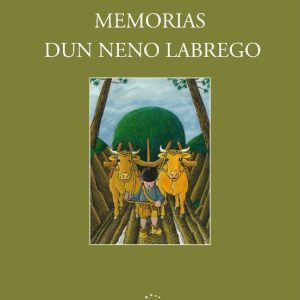 MEMORIAS DUN NENO LABREGO (ILUSTRADO)
				 (edición en gallego)