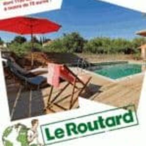 NOS MEILLEURES CHAMBRES D HOTES EN FRANCE: 2014 (LE GUIDE DU ROUT ARD)
				 (edición en francés)