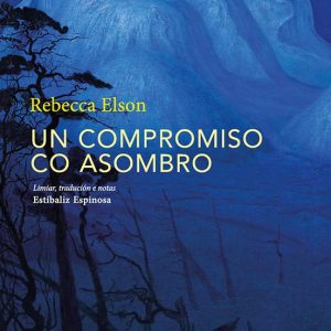 UN COMPROMISO CO ASOMBRO
				 (edición en gallego)