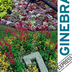 GINEBRA 2017 (GUIA VIVA EXPRESS) (2ª ED.)